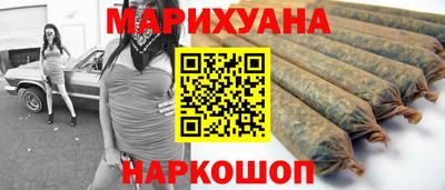 гашик Гусев