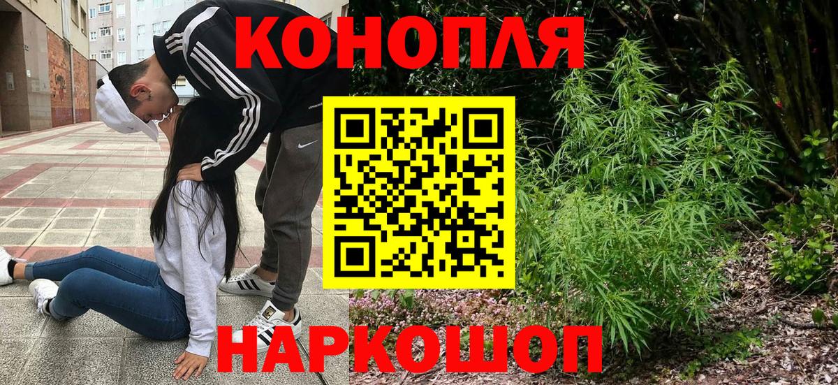 Марихуана OG Kush Малгобек